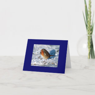 Robin in the Snow Note Cards