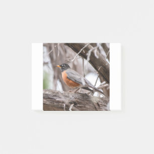 Robin in the trees post-it notes