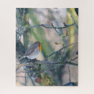 Robin in Tree Jigsaw Puzzle