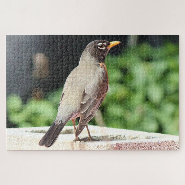 Robin Jigsaw Puzzle (Horizontal)