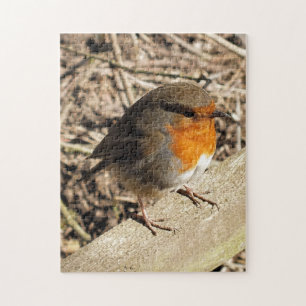 ROBIN JIGSAW PUZZLE