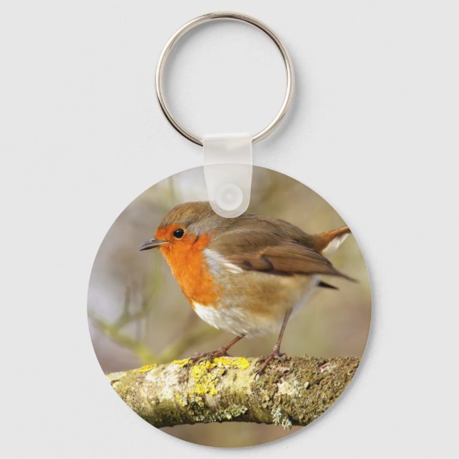 Robin Key Ring (Front)
