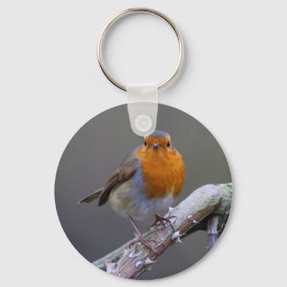 Robin Key Ring