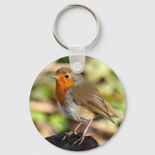 Robin Keychain