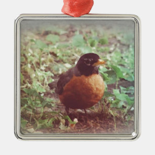 Robin Metal Tree Decoration