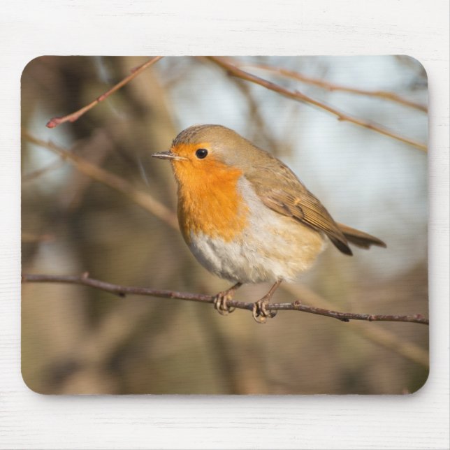 Robin Mouse Pad (Front)