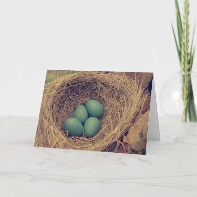 Robin Nest and Eggs Card (Front)