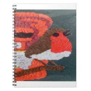 Robin Notebook