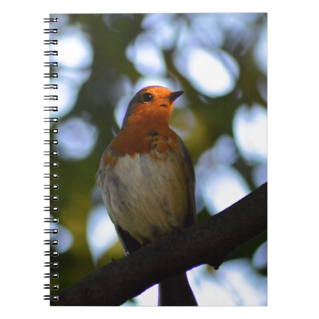 Robin Notebook (Front)