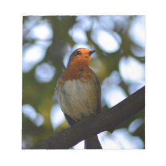 Robin Notepad