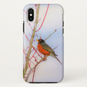 Robin of Beauty Bird Photography iPhone X Case