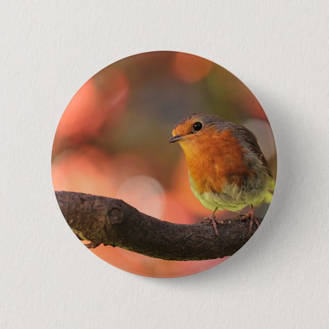 Robin on a branch 6 cm round badge (Front)