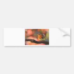 Robin on a branch bumper sticker