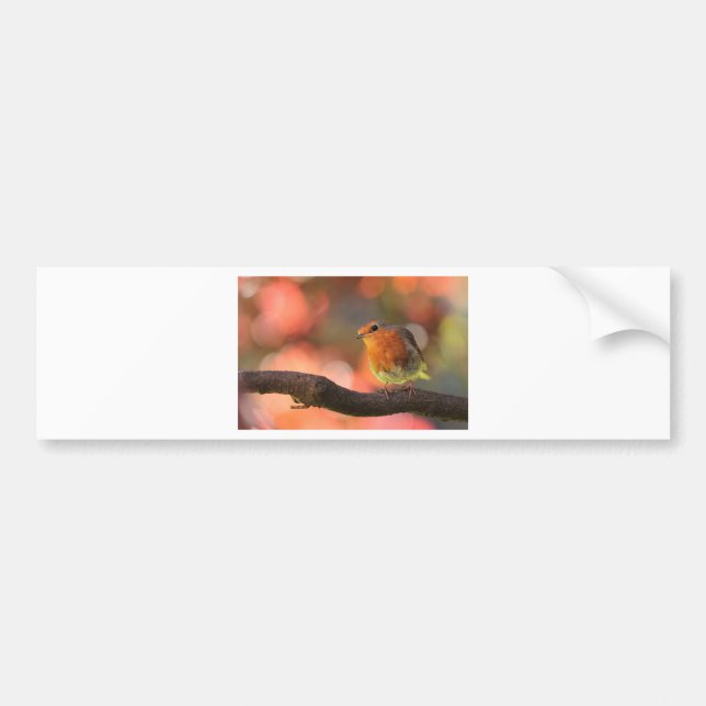 Robin on a branch bumper sticker (Front)