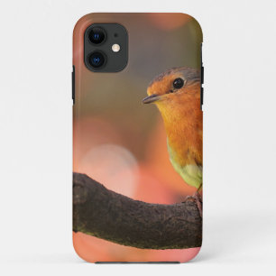 Robin on a branch iPhone 11 case