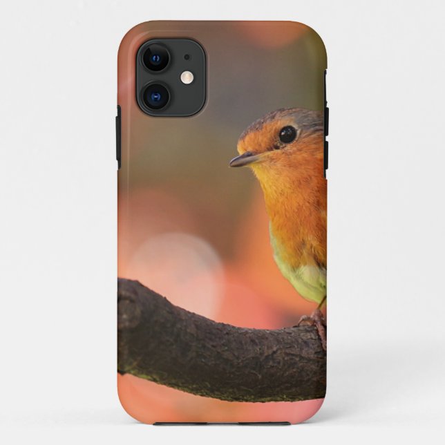 Robin on a branch Case-Mate iPhone case (Back)