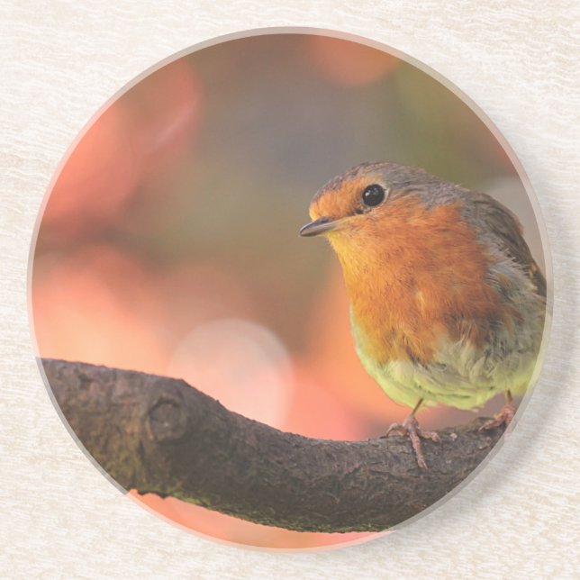 Robin on a branch coaster (Front)