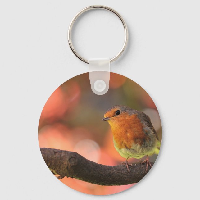 Robin on a branch key ring (Front)