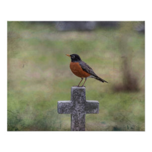 Robin on a cross photo print