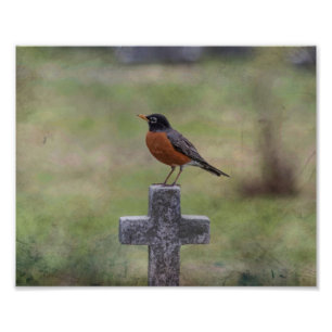 Robin on a cross photo print