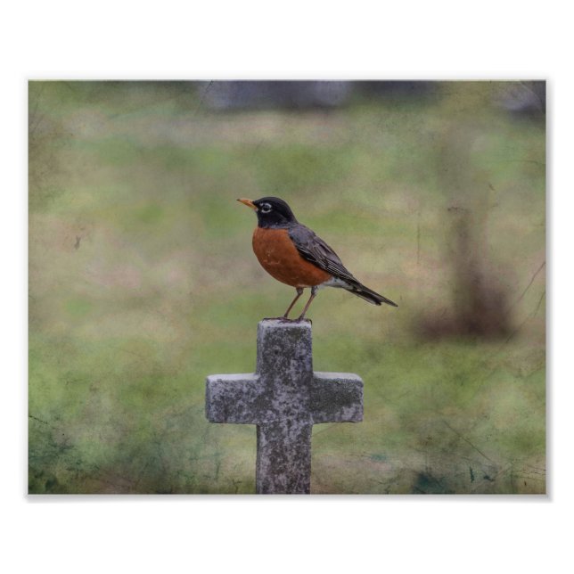 Robin on a cross photo print (Front)
