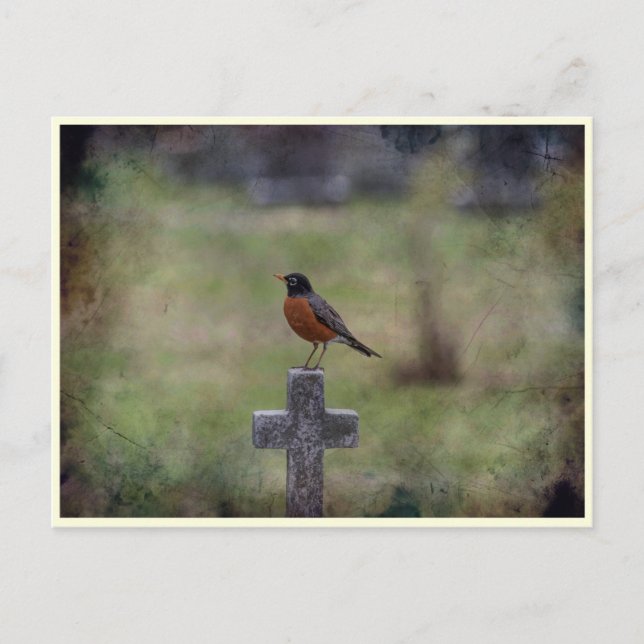 Robin on a cross postcard (Front)
