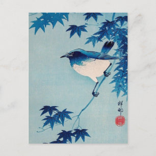 Robin on a Maple Branch, Koson, Japanese Bird Art, Postcard