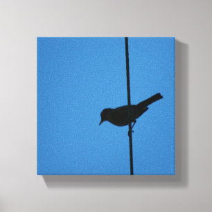 Robin on a wire canvas print