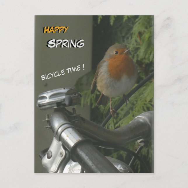 Robin on Bicycle Close Up Happy Spring Postcard (Front)