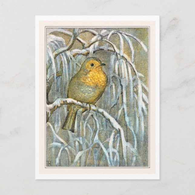Robin on Snowy Tree Branch Postcard (Front)