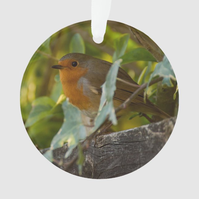 Robin Ornament (Front)