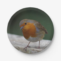 Robin Paper Plates