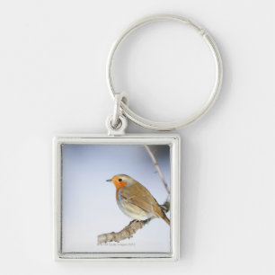 Robin perched on a branch in winter key ring