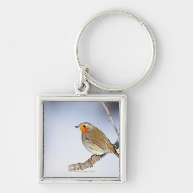 Robin perched on a branch in winter key ring (Front)