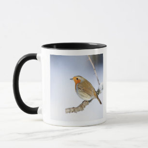 Robin perched on a branch in winter mug