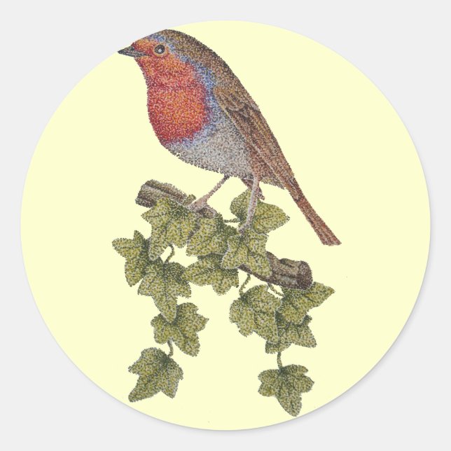 Robin perched on ivy leaf customizzable classic round sticker (Front)