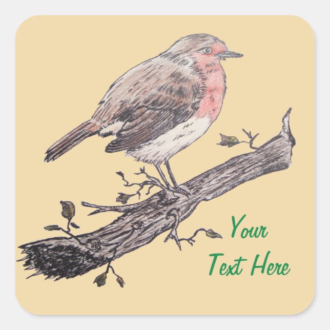 Robin perched on ivy leaf wild birds square sticker (Front)