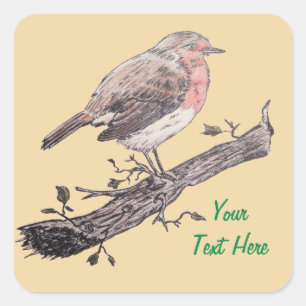 Robin perched on ivy leaf wild birds square sticker