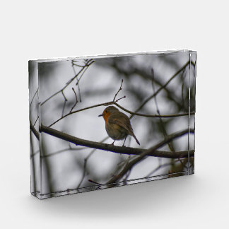 Robin  photo block