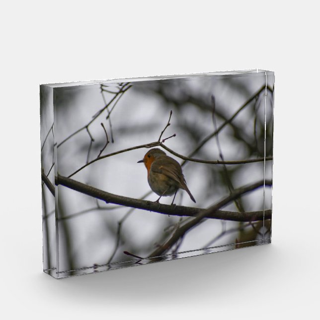 Robin  photo block (Left)