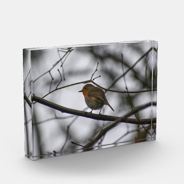 Robin  photo block (Left)