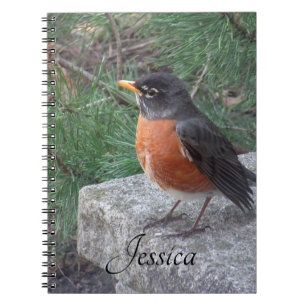 Robin Photo Personalised Handwritten Name Notebook