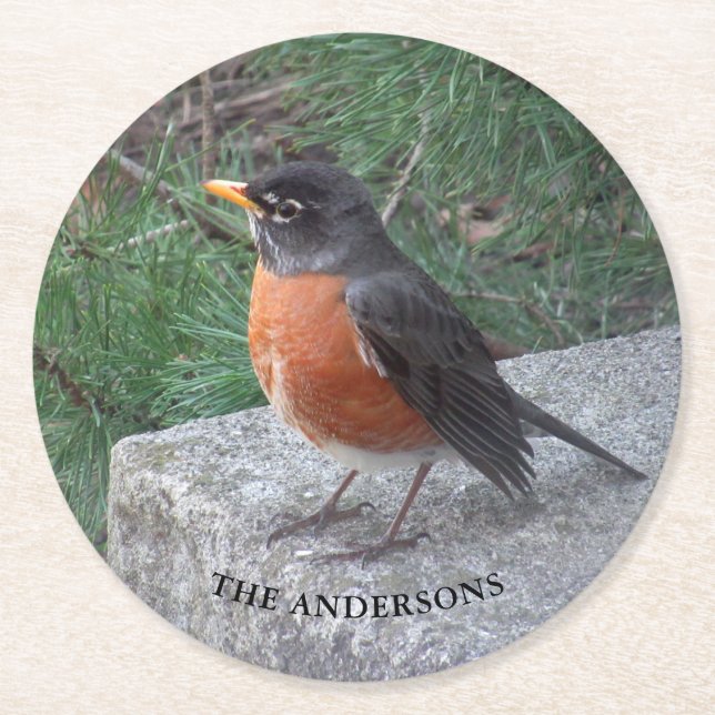 Robin Photography Name Round Paper Coaster (Front)