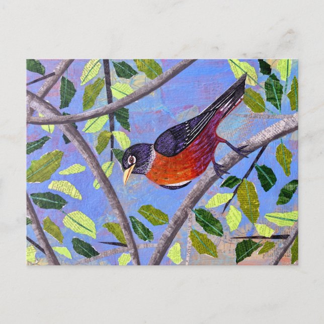 Robin Postcard (Front)
