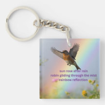 Robin Rainbow