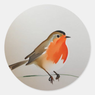 Robin red breast  classic round sticker