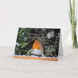 Robin Redbreast Christmas Card