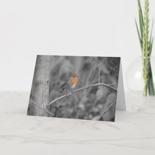 Robin Redbreast Christmas Card (Front)