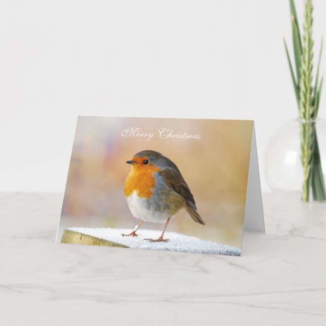 Robin Redbreast Christmas Card (Front)