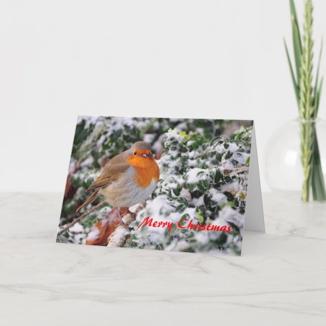 Robin Redbreast Christmas Card (Front)